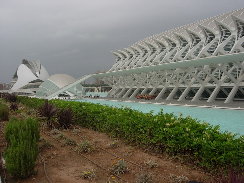 Volunteer in Valencia