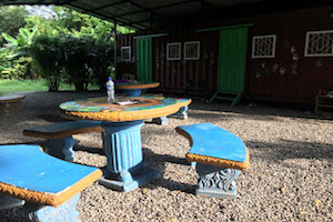viajes solidarios animales costa Rica