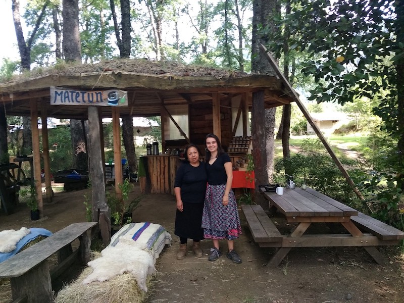 Familias mapuches