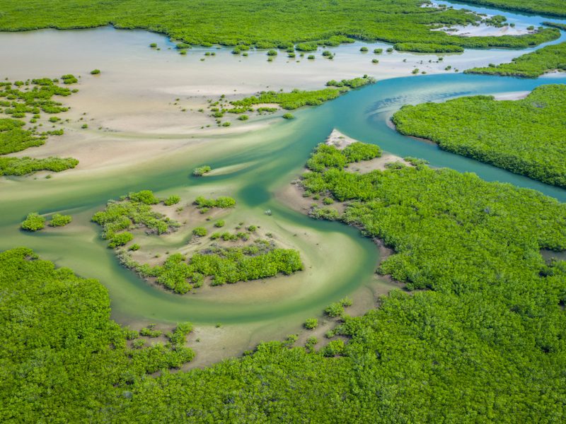 Parque Nacional del Delta Saloum Senegal