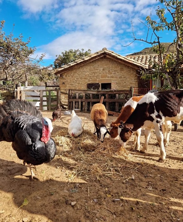 santuario de animales navarra españa