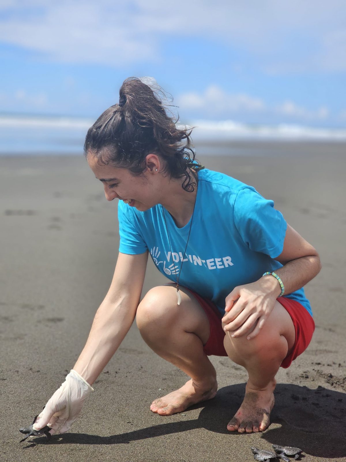 Experiencia con tortugas marinas